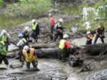 2011 Clinton River Cleanup