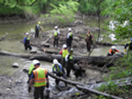 2011 Clinton River Cleanup