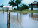 Mailbox in Standing Water